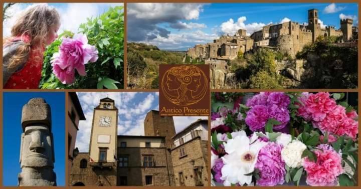 La Peonia Διαμέρισμα Vitorchiano Εξωτερικό φωτογραφία